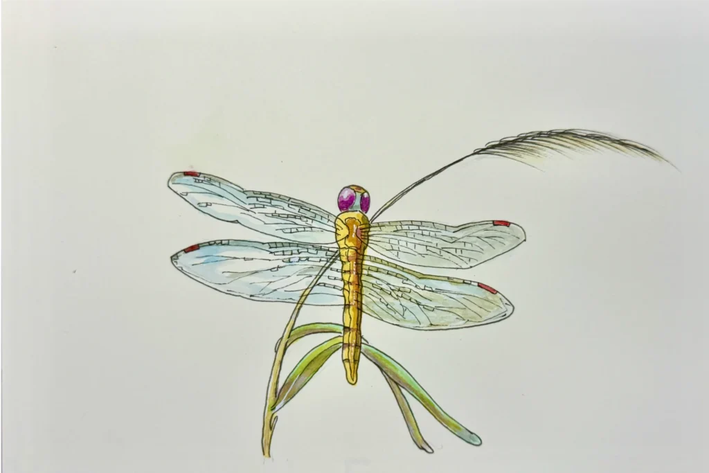 Globe Skimmer