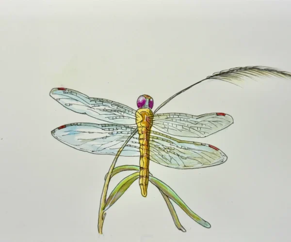 Globe Skimmer
