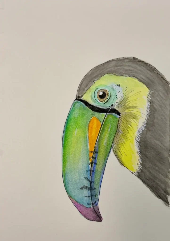 A beautiful ink and wash skech of keel-billed tocan by Travel Sketchbook with Sabu