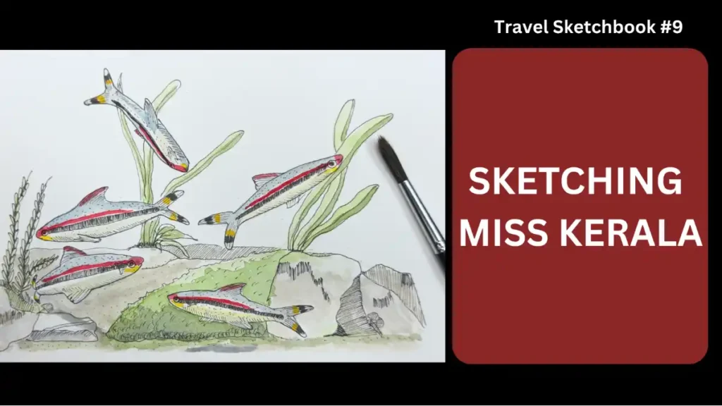 Miss Kerala Sketching Cover