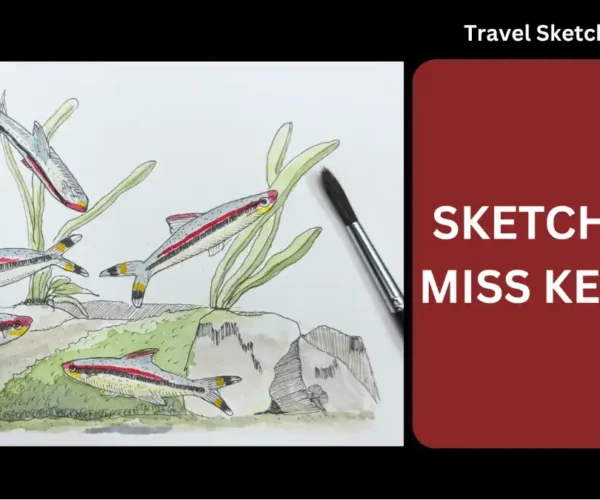 Miss Kerala Sketching Cover
